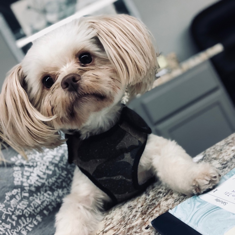 Meet your Posher, Kimberly